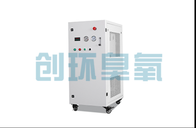 黑河工厂化养鲈必看:2026年臭氧发生器替代传统消毒的最新方案