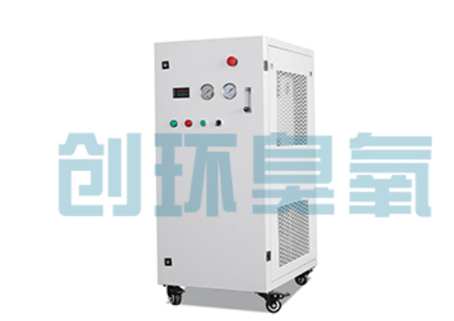 黑河石斑鱼养殖水质调控完整指南:臭氧发生器配置与操作步骤