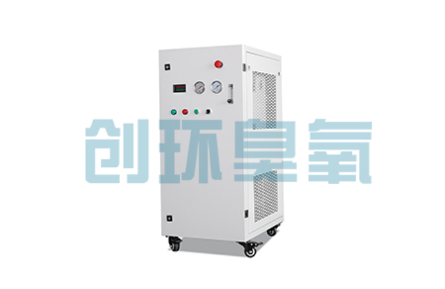 黑河比传统换水更高效?臭氧发生器在石斑鱼养殖中的水质净化原理解析
