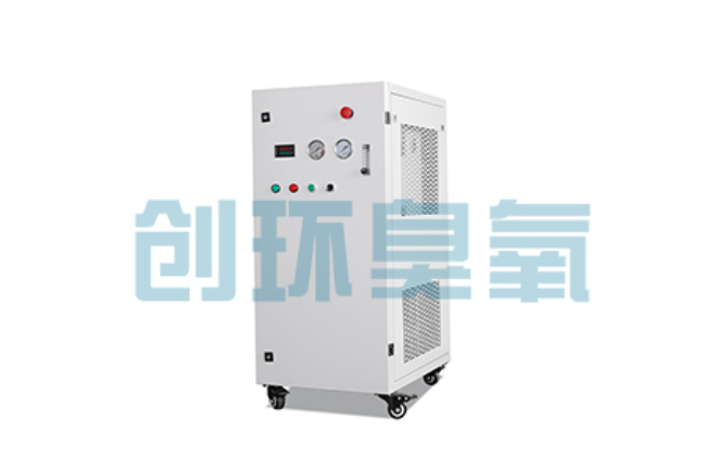 黑河比传统换水更高效？臭氧发生器在石斑鱼养殖中的水质净化原理解析